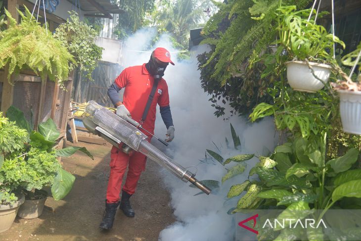 Haruskah Wilayah Kita Difogging Sekarang? Fakta Medis dan Solusi Nyata DBD.
